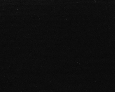 RAL 9005